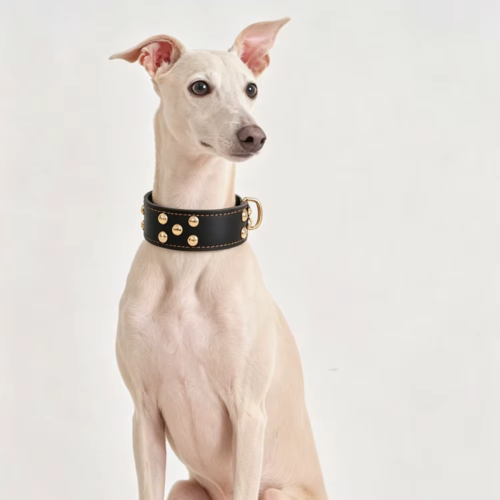 Collar cuero ajustable con tachuelas para perros pequeños y medianos - imagen 2