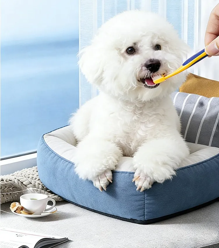 Cepillo de dientes para perros 360 grados vista frontal