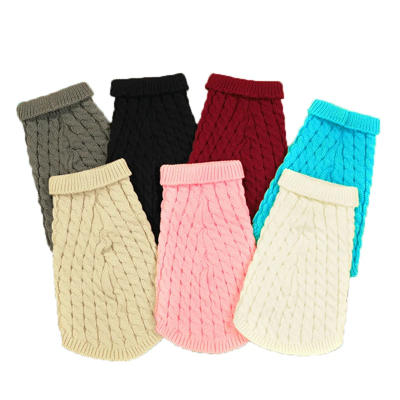 Perro small llevando suéter azul oscuro en interior