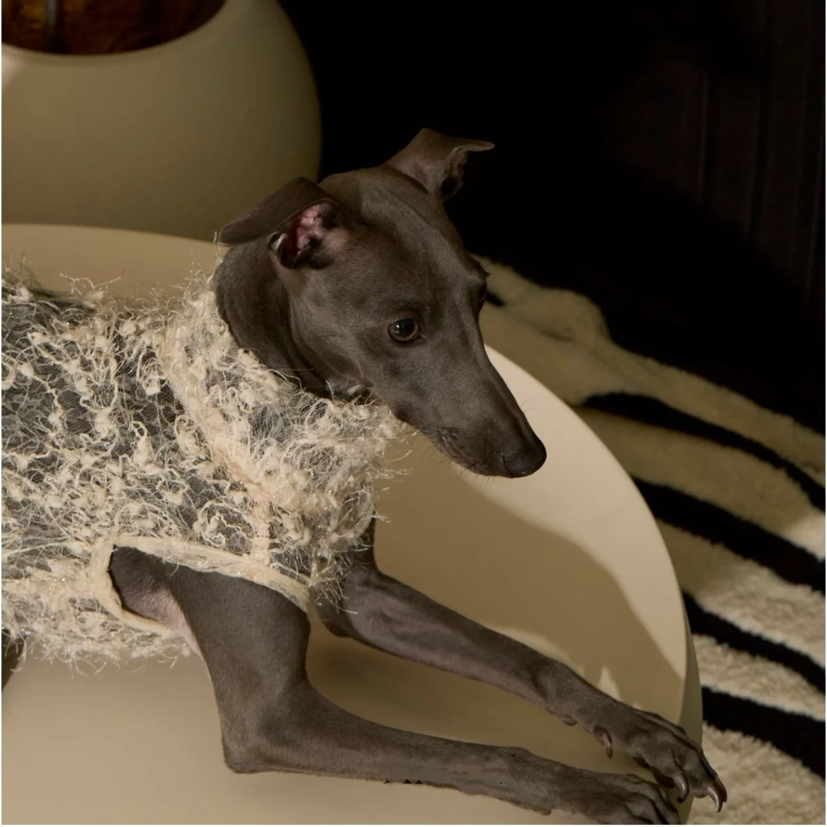 Mono ligero con encaje floral para galgo italiano y whippet - imagen 4