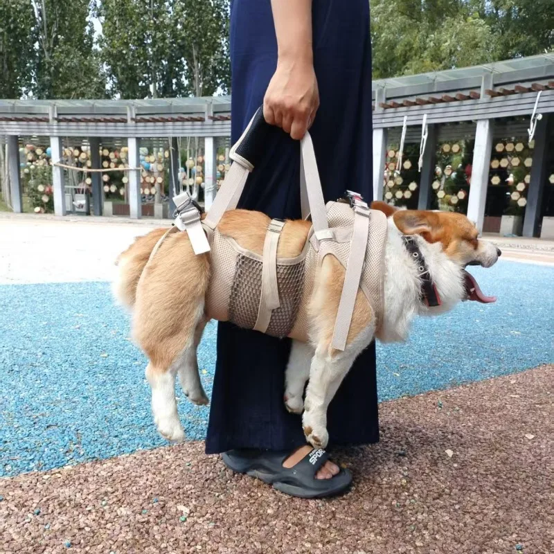 Silla de ruedas para perros con soporte trasero, ajustable y ligera - imagen 5