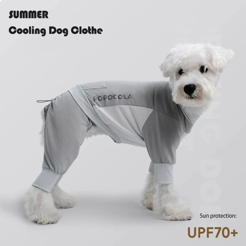 Chaleco en perro pequeño