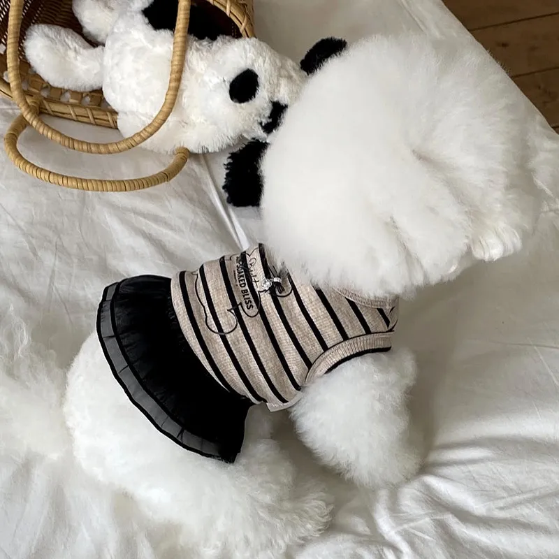 Vestido de encaje para perra con falda a rayas – Chihuahua y Bichón - imagen 2