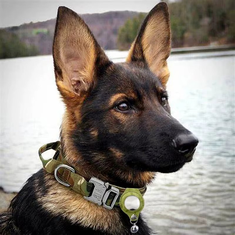 Protector de AirTag para mascotas en uso durante actividades exteriores