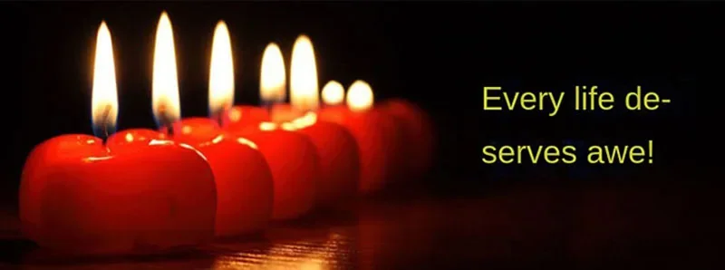 Caja funeraria de cerámica decorativa en color blanco Brillante con acabado artesanal