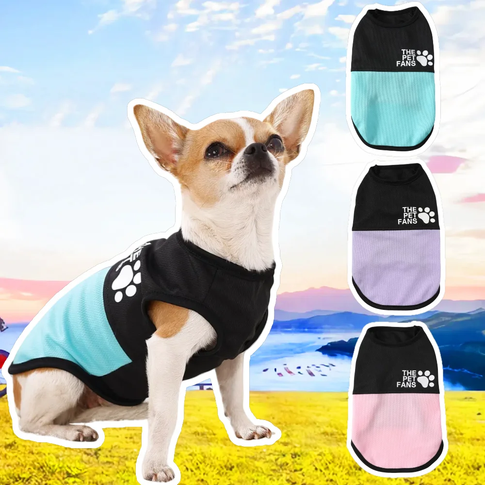 Perro pequeño usando chaleco rosa