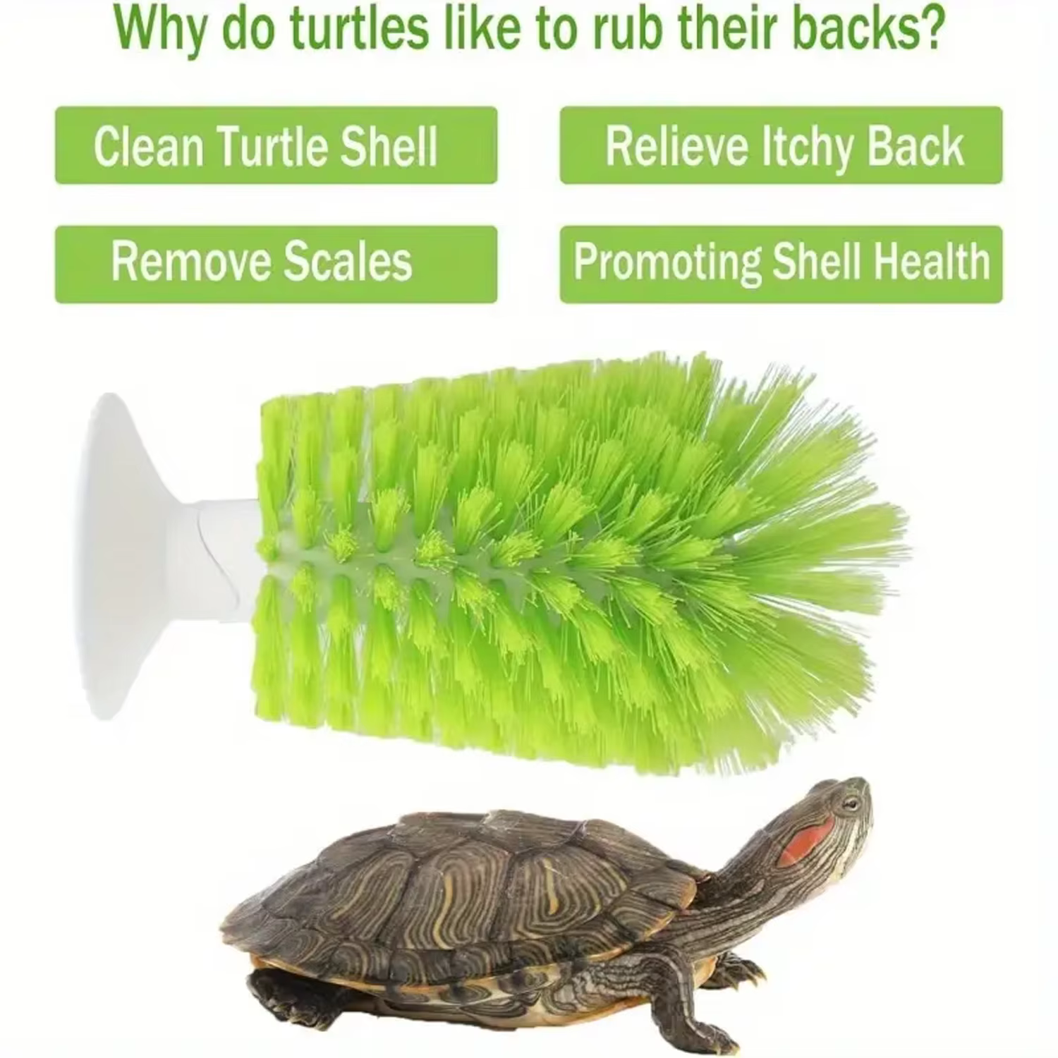 Cepillo Exfoliante para Tortugas y Anfibios con Ventosa - imagen 5