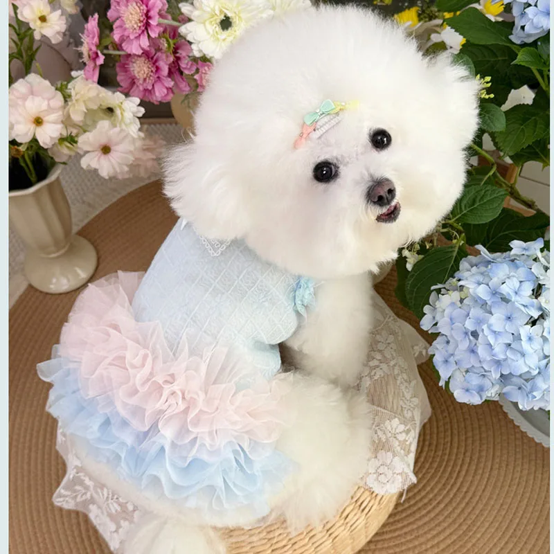Vestido de tul tutú para perra elegante, Chihuahua y Yorkie