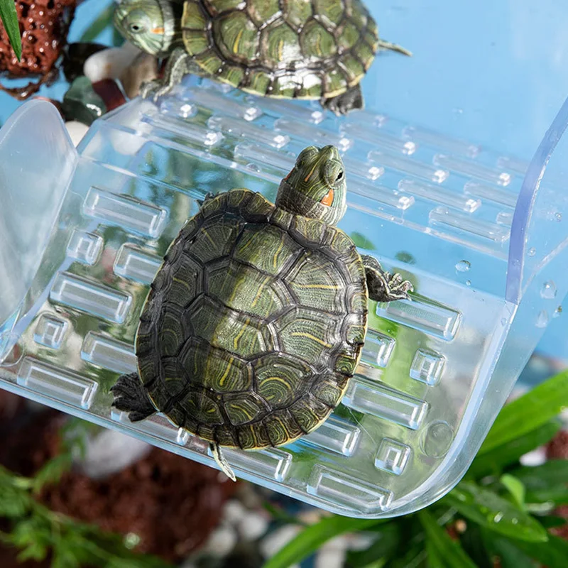 Plataforma flotante de acrílico para tortugas: sol y zona de comida