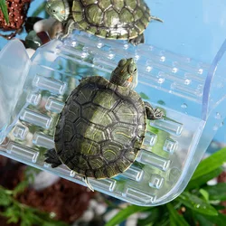 Plataforma flotante de acrílico para tortugas: sol y zona de comida