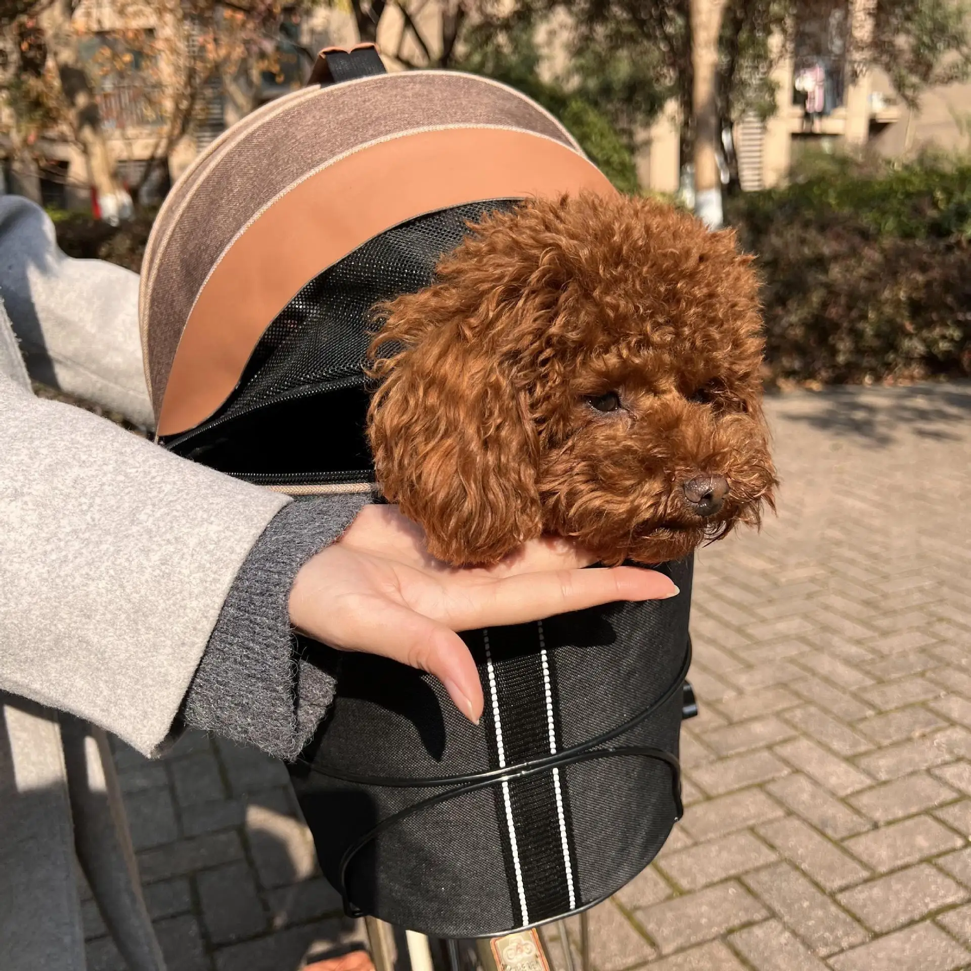 Bolsa transporte plegable capacidad para perros y mascotas en bici - imagen 2