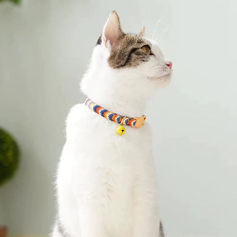 Collar con cascabel y huella personalizada para gato y perro pequeño