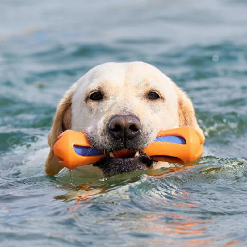 Juguete acuático para perros masticable resistente, flotador - imagen 2