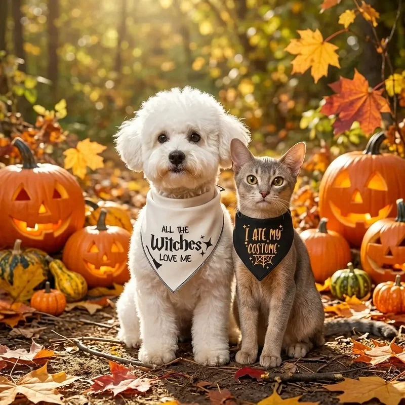 Pañuelo Halloween para Perros y Gatos – Pack de 2 Estampados Temáticos - imagen 3