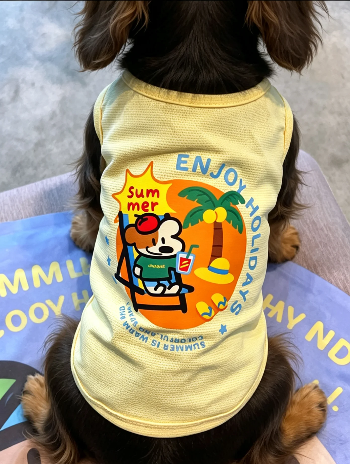 Ajuste pensado para perros pequeños y medianos