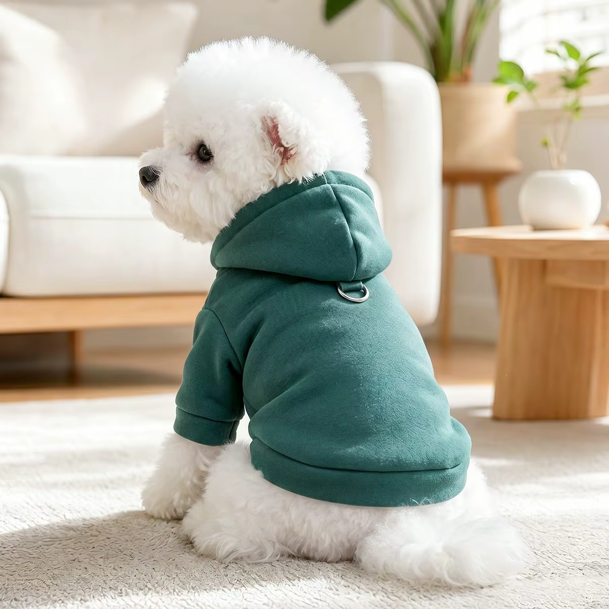 Yorkshire con sudadera de invierno para perros