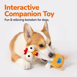 Juguete chirriante peluche con forma de pollo resistente para perros