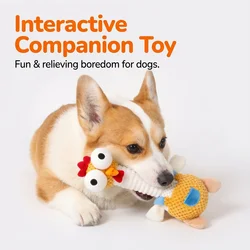 Juguete chirriante peluche con forma de pollo resistente para perros