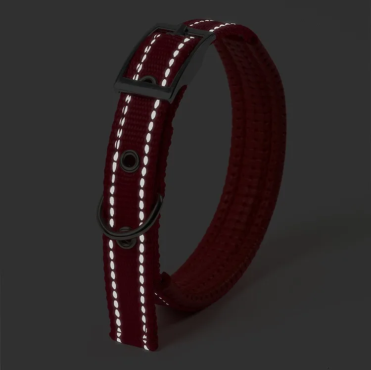 Vista frontal del collar ajustado