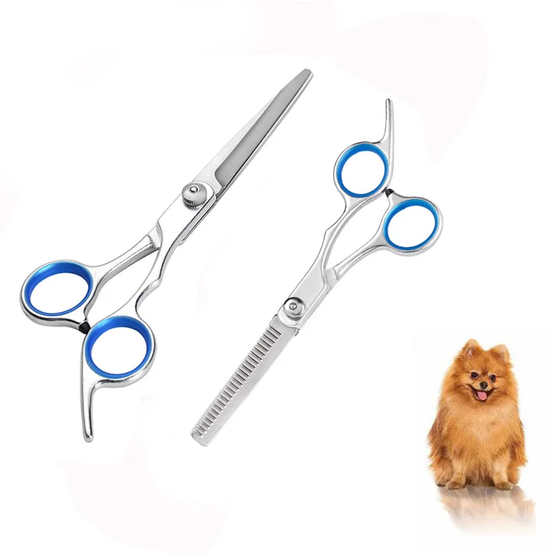 Tijeras de peluquería canina en mano mostrando el filo afilado