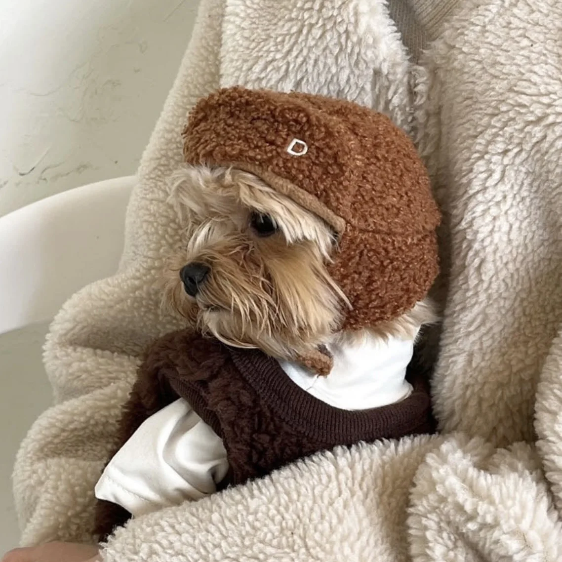 Gorro con Capucha para Perros Pequeños – Cálido y Suave de Felpa - imagen 3