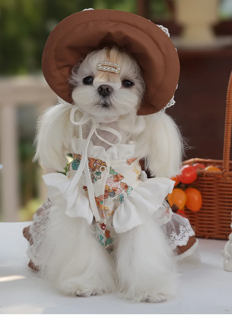 Vestido Lolita frontal