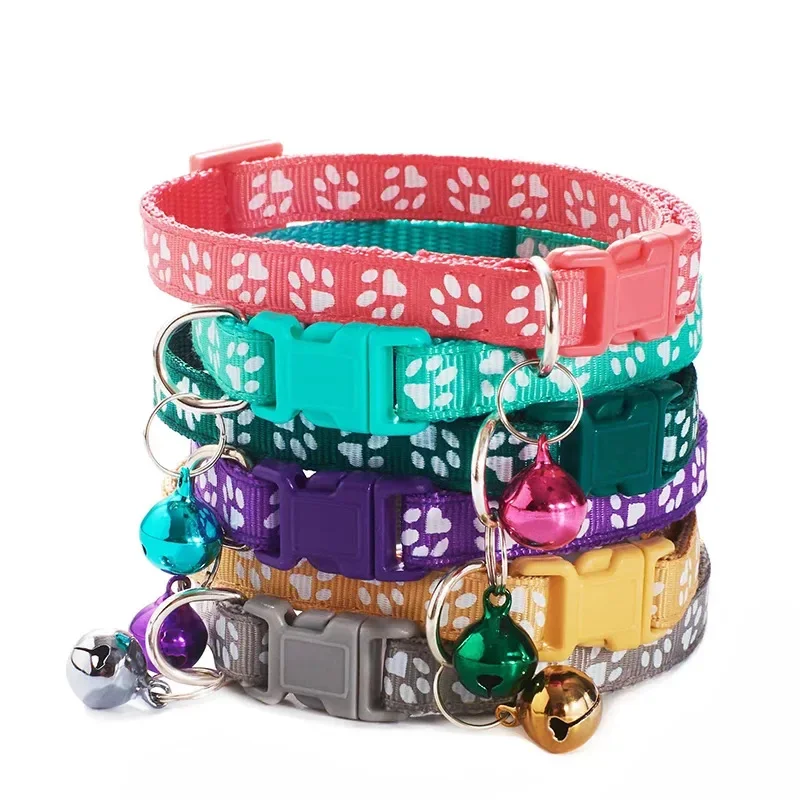 Collar visto desde diferentes ángulos