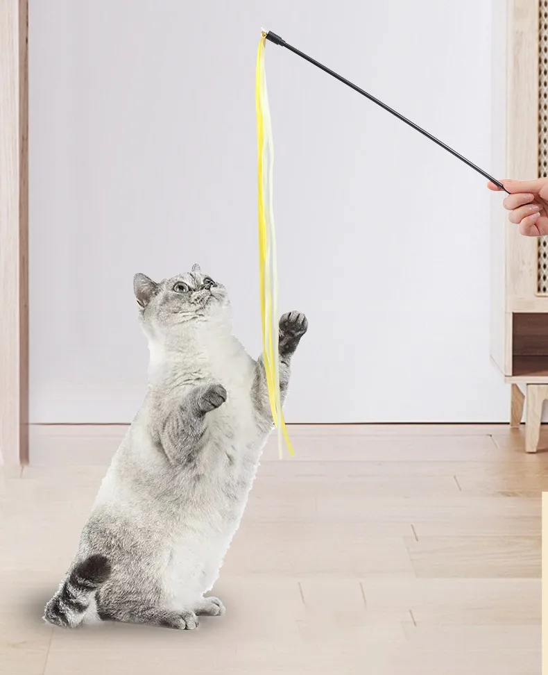 Gato satisfecho