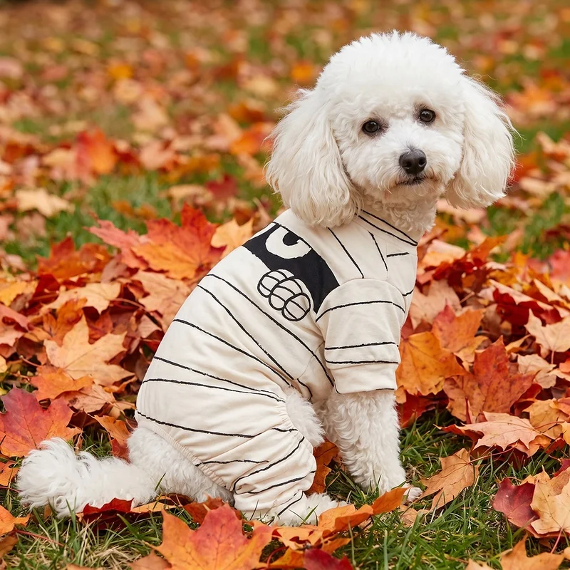Disfraz Momia Halloween 4 Patas para Perros y Gatos - imagen 2