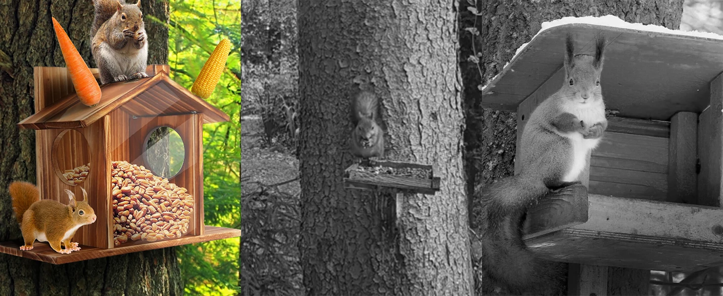 Comedero de madera para ardillas en jardín