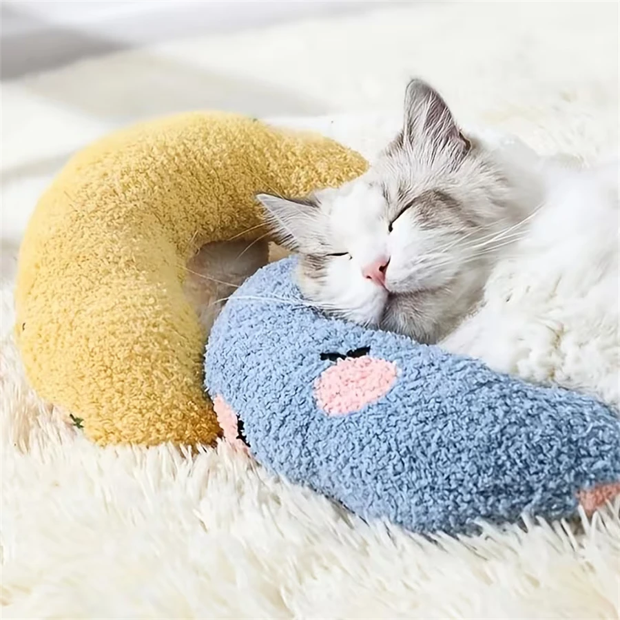 Mascota con almohada