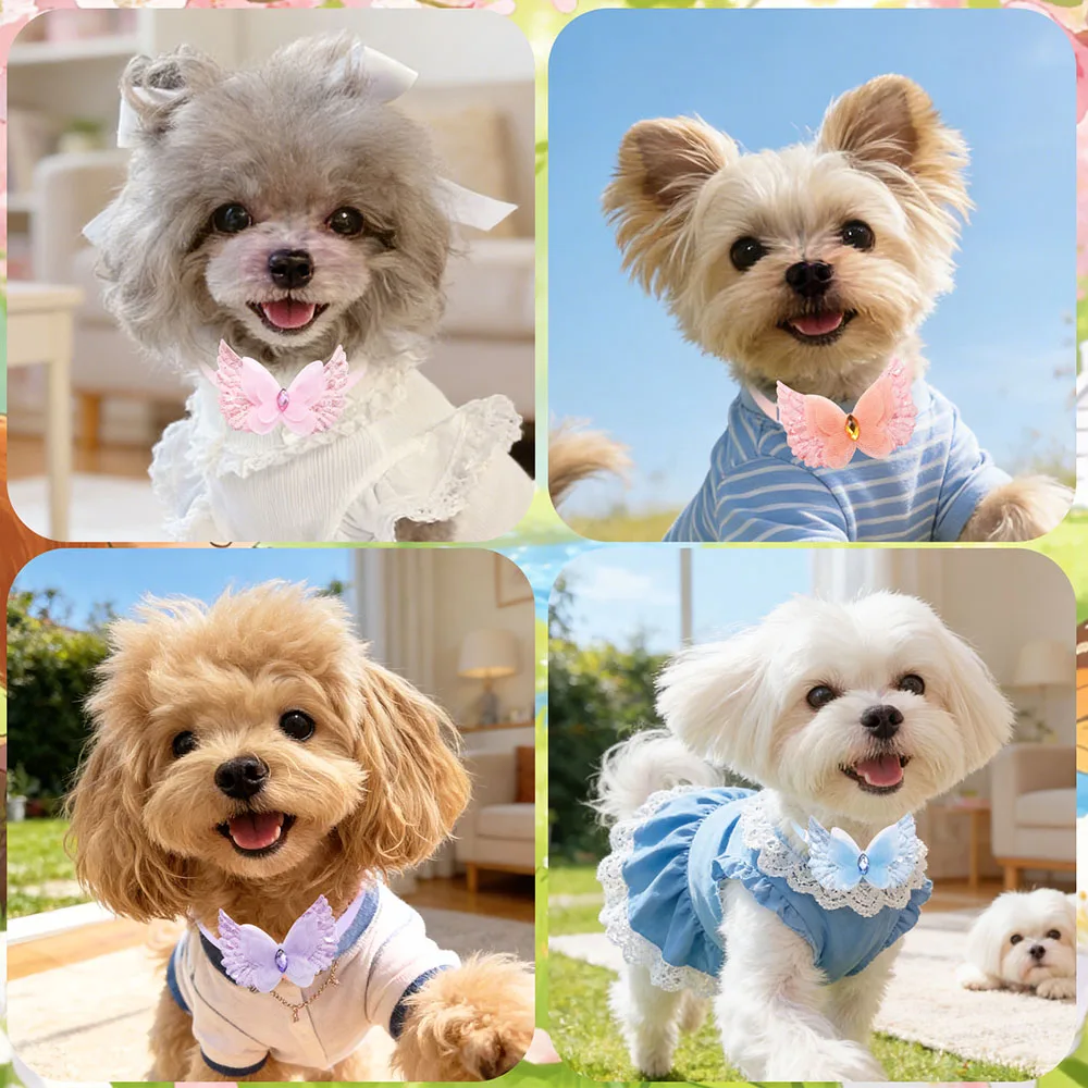 Pack de 50 lazos multicolores