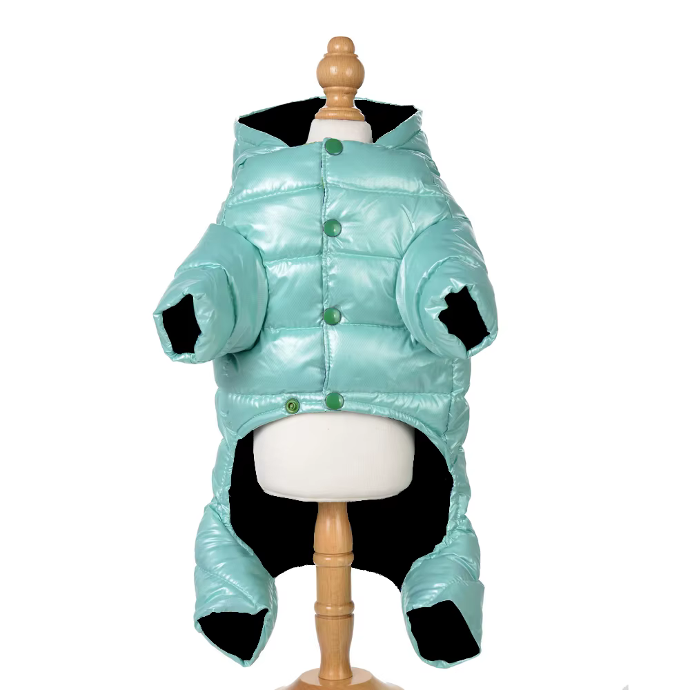 Perro pequeño con chaqueta térmica impermeable