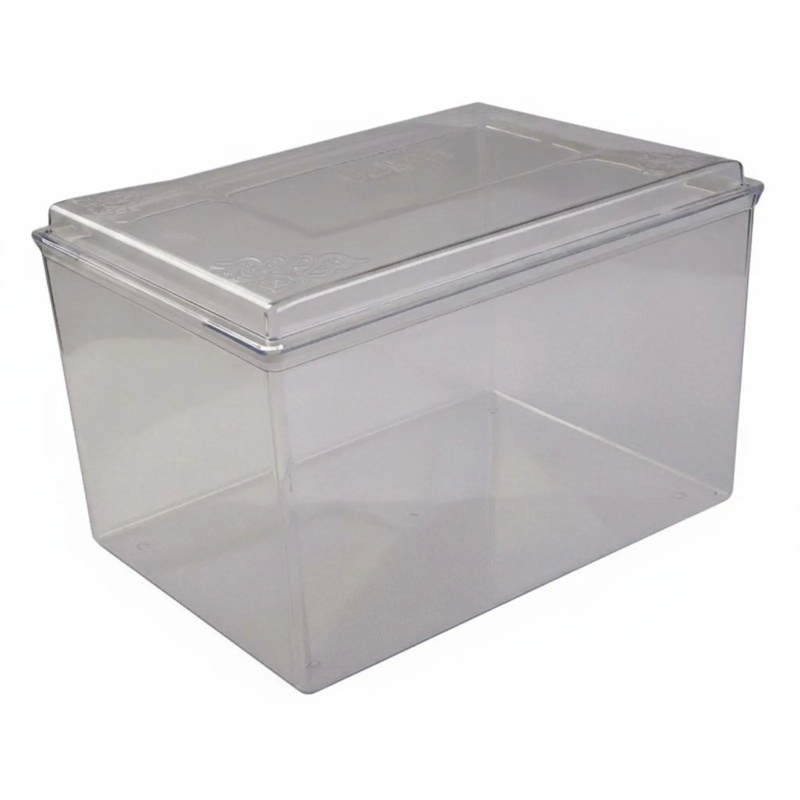 Caja Acrílica Transparente con Tapa para Guardar Recuerdos de Mascota