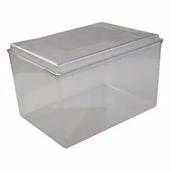 Caja Acrílica Transparente con Tapa para Guardar Recuerdos de Mascota