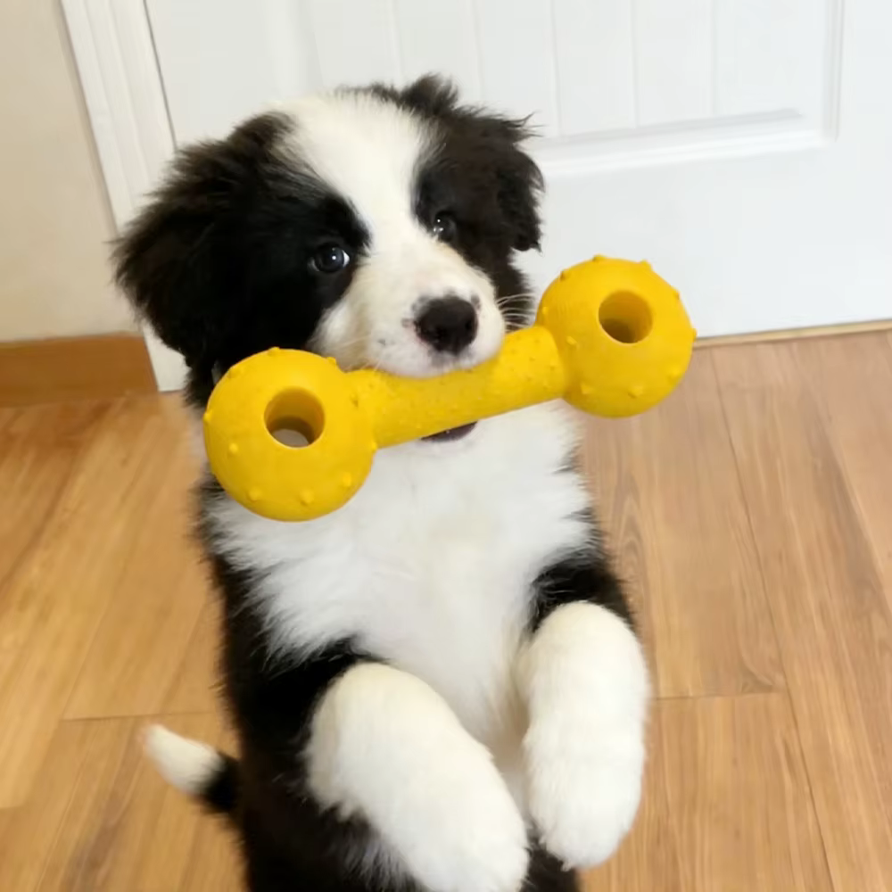 Juguete masticable duradero para perros: seguro y fácil de limpiar - imagen 5