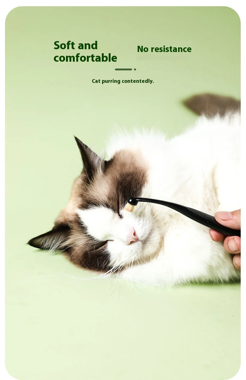 Cepillo de silicona aplicado sobre el área ocular de un gato