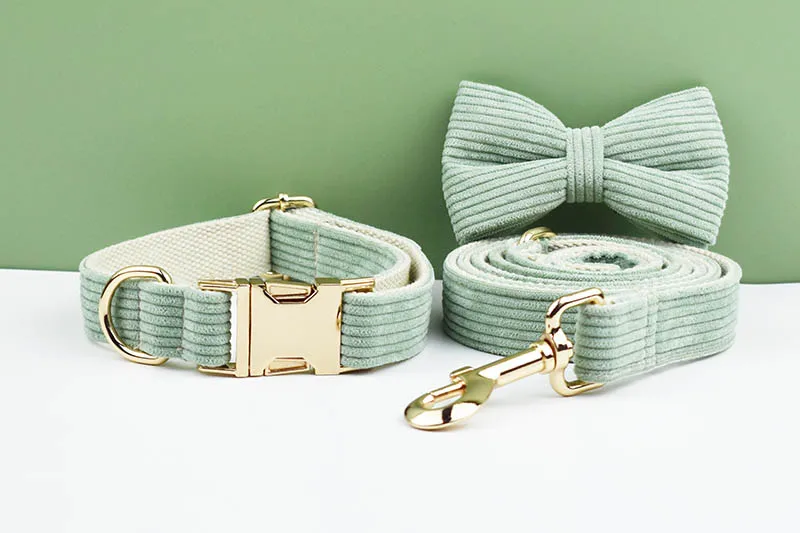 Detalles del set