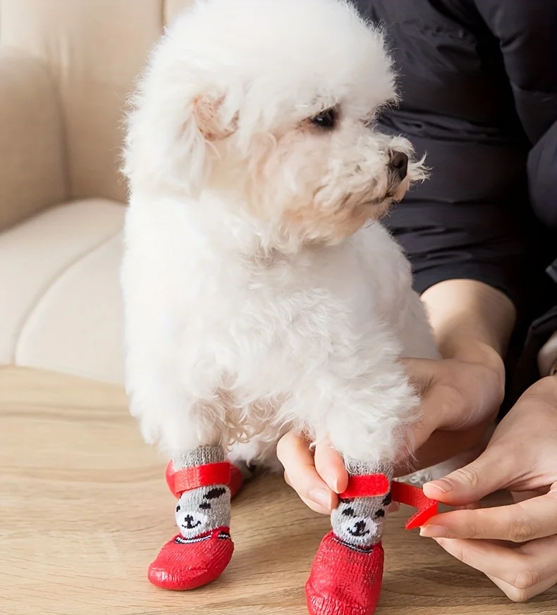 Perro usando protectores en exteriores