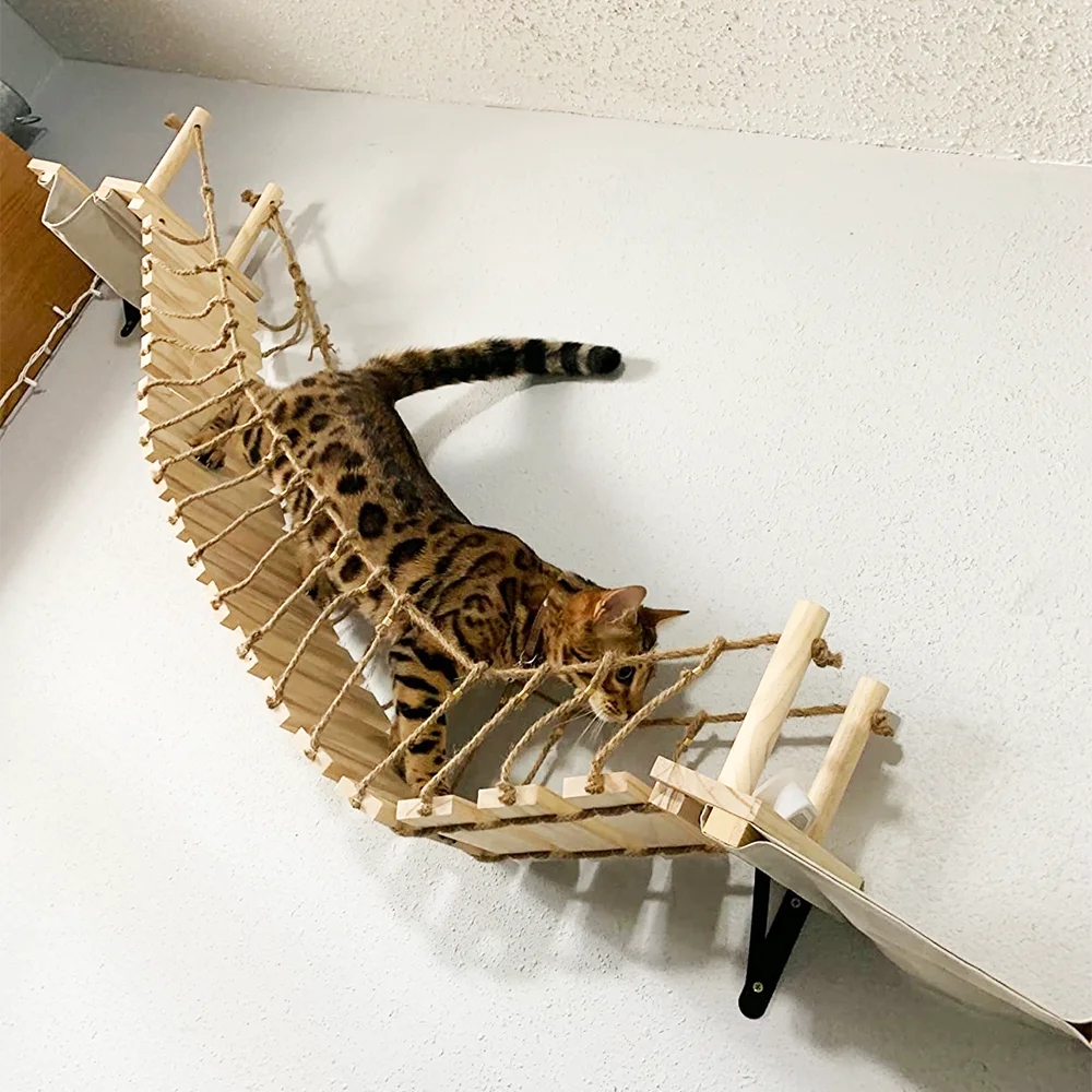 Detalle de escalada y cuerda
