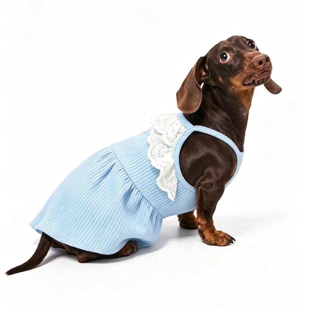 Vestido algodón verano para perro Dachshund – Falda rosa suave - imagen 3