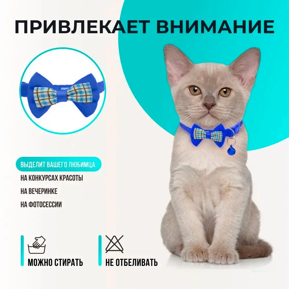 Hebilla de seguridad ergonómica que evita que el collar se caiga