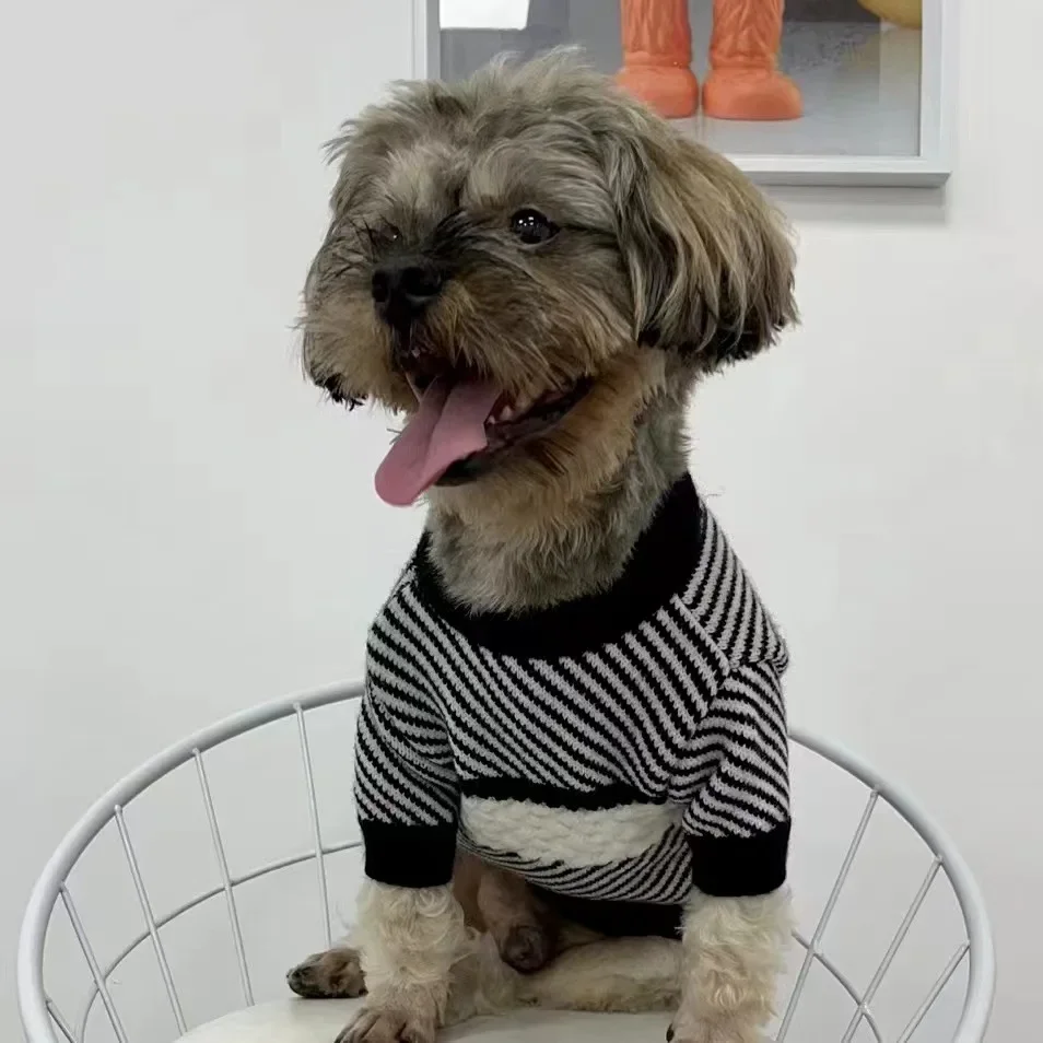 Mascota con suéter de cachemira