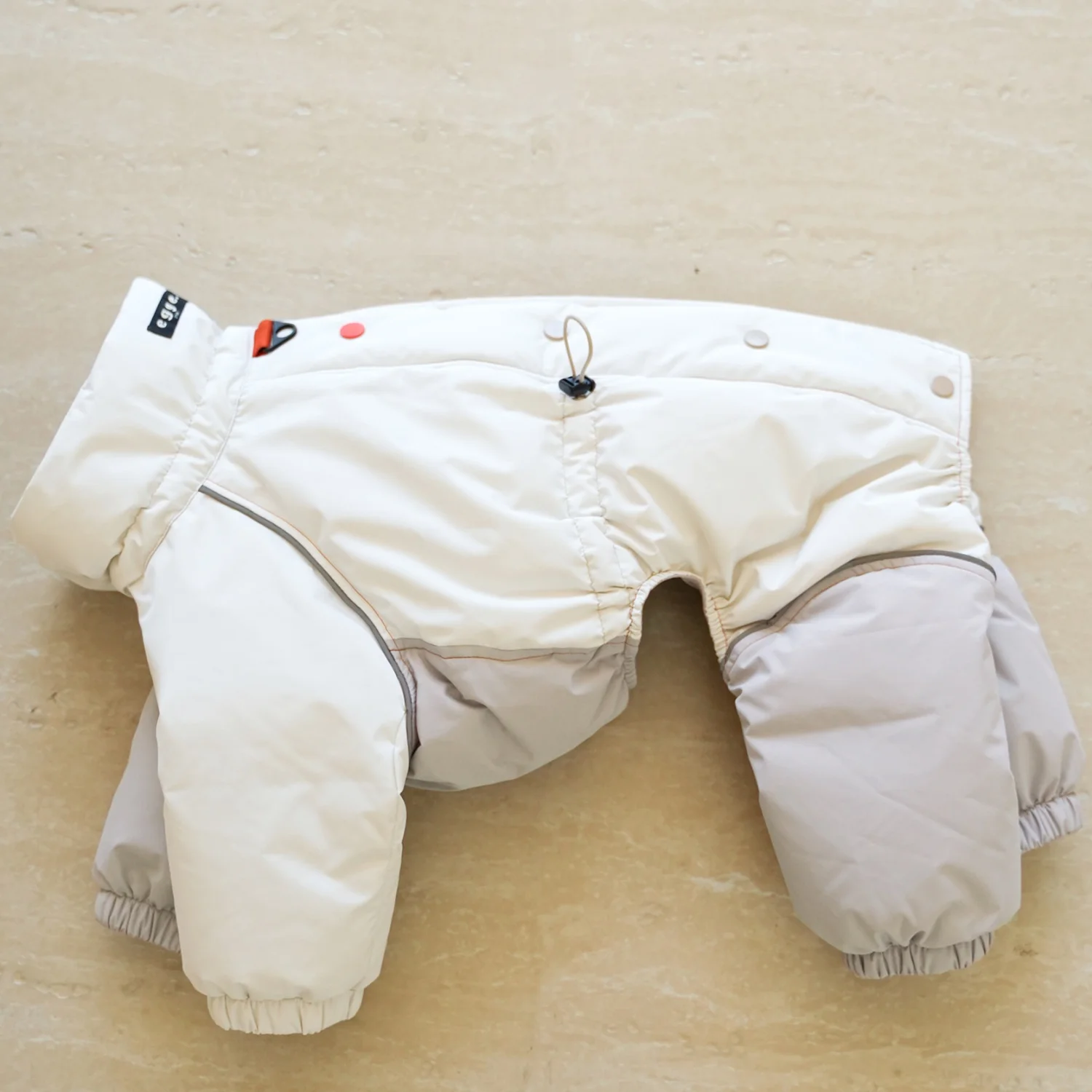 Perro con abrigo azul