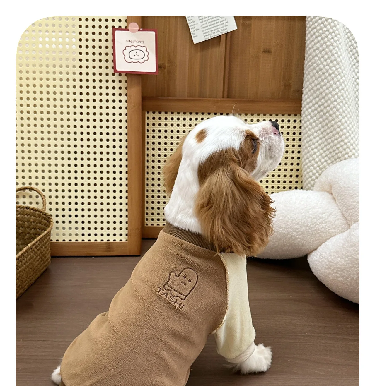 Varios colores de jerseys para perros
