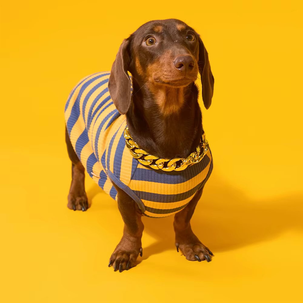 Camiseta a rayas de algodón para perro salchicha, chaleco - imagen 5