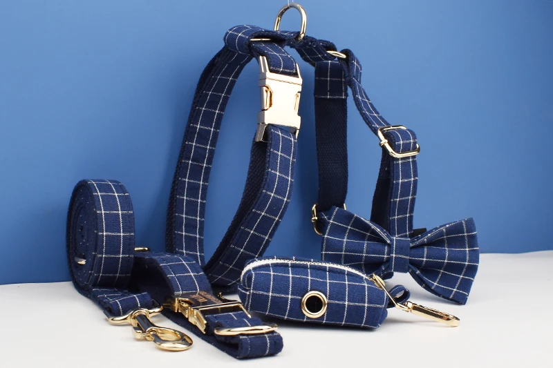 Conjunto completo de collar, correa y arnés