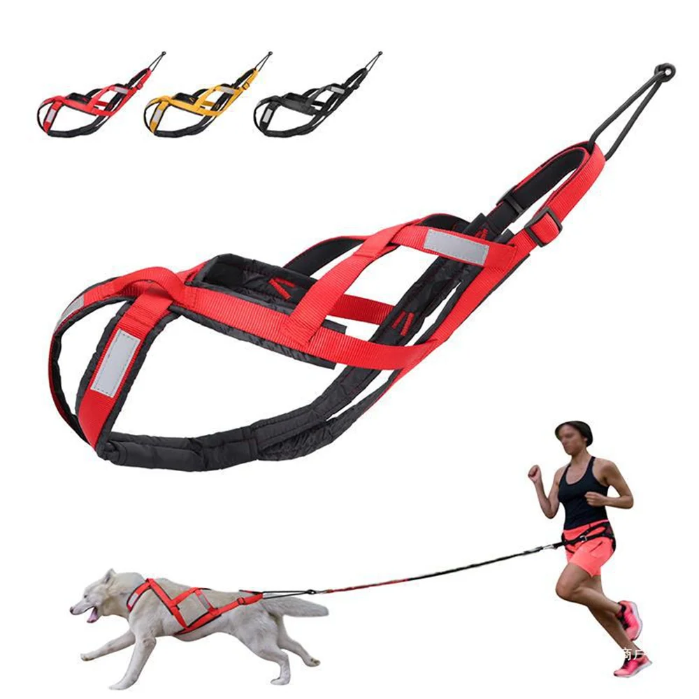Arnés resistente para tirar, perros medianos y grandes – Husky - imagen 4