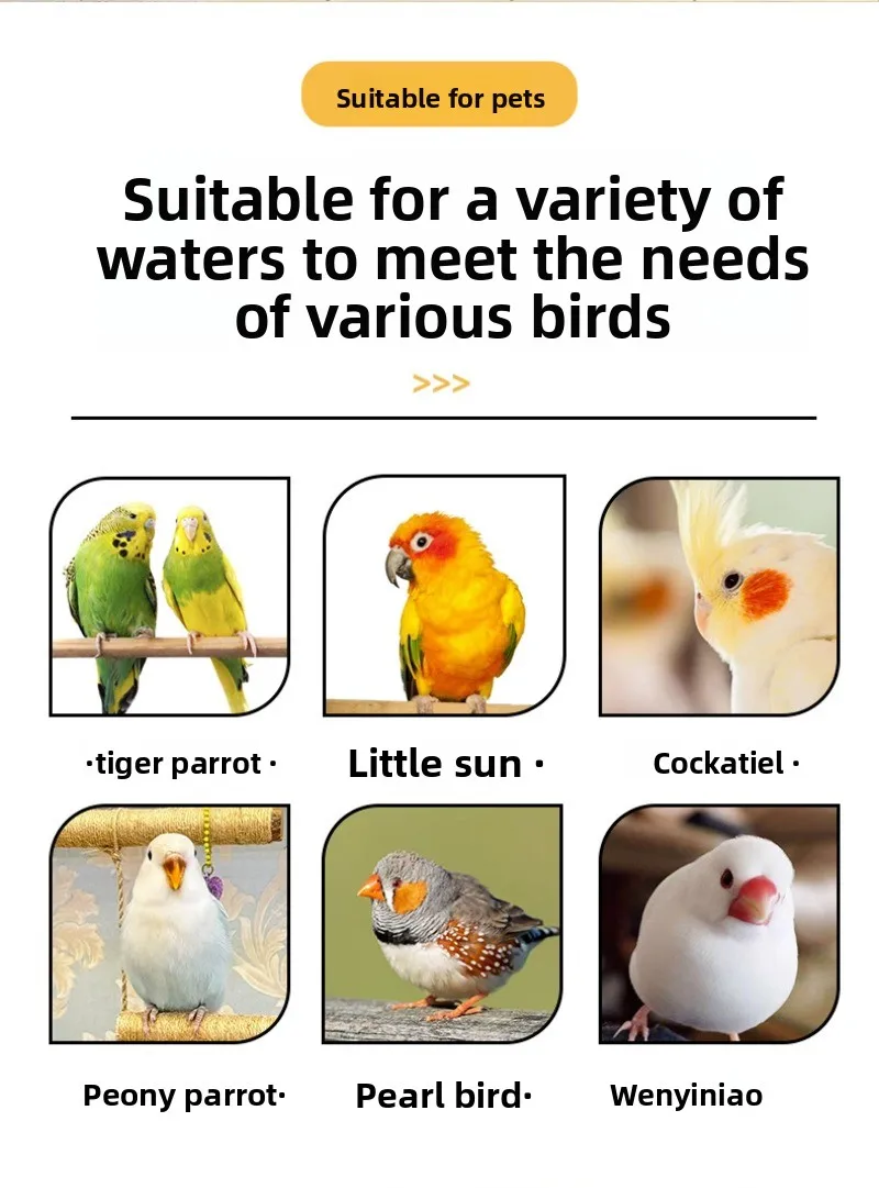 Estructura metálica resistente de la jaula para aves
