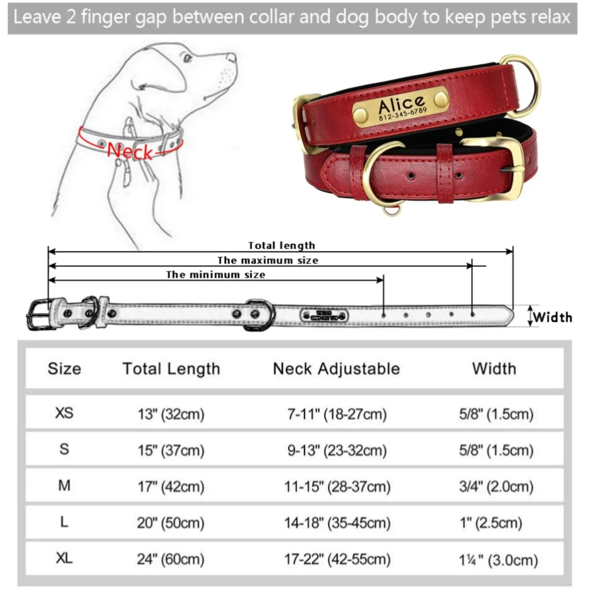 Collar puesto en un perro mediano